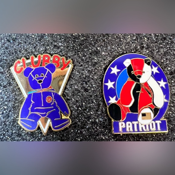 Vintage Ty Beanie Official Club Collector Pins set of 5 in case (2002) - Picture 5 of 6